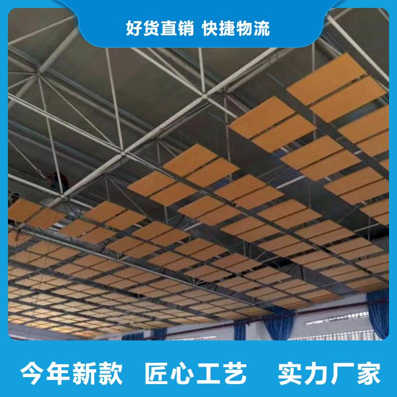 安仁县学校体育馆吸音改造方案--2024最近方案/价格