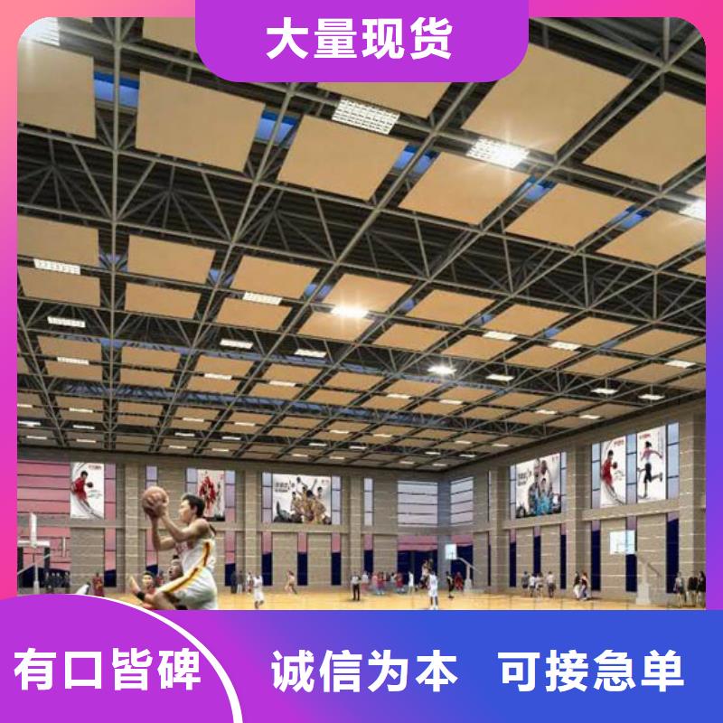 炎陵县多功能体育馆吸音改造公司--2024最近方案/价格