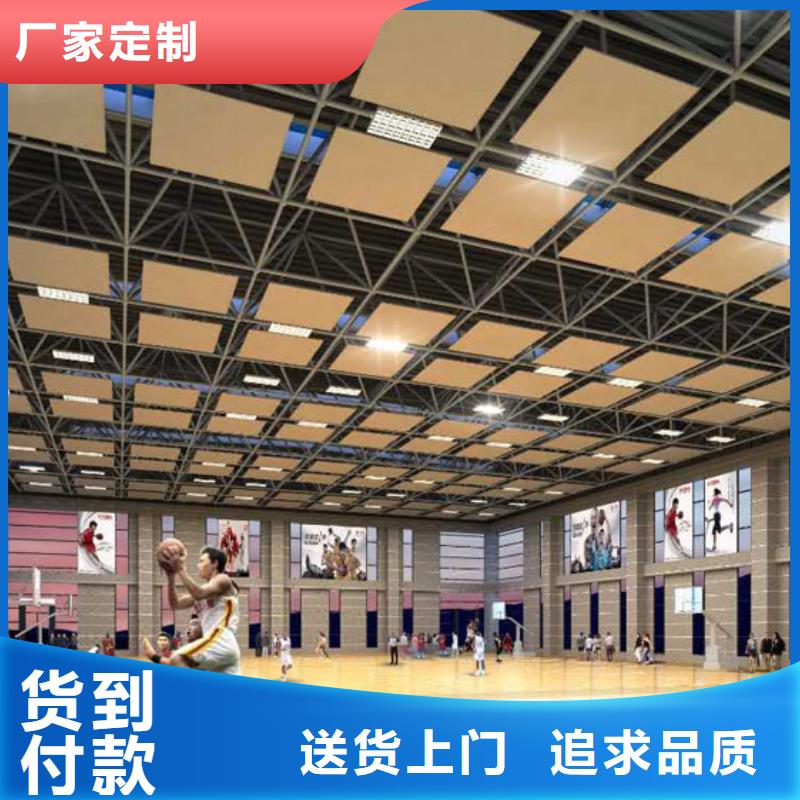 嘉鱼县专业体育馆声学改造价格--2024最近方案/价格