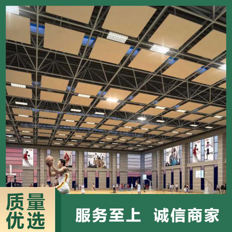 广西省本地(凯音)体育馆吸音改造公司--2024最近方案/价格