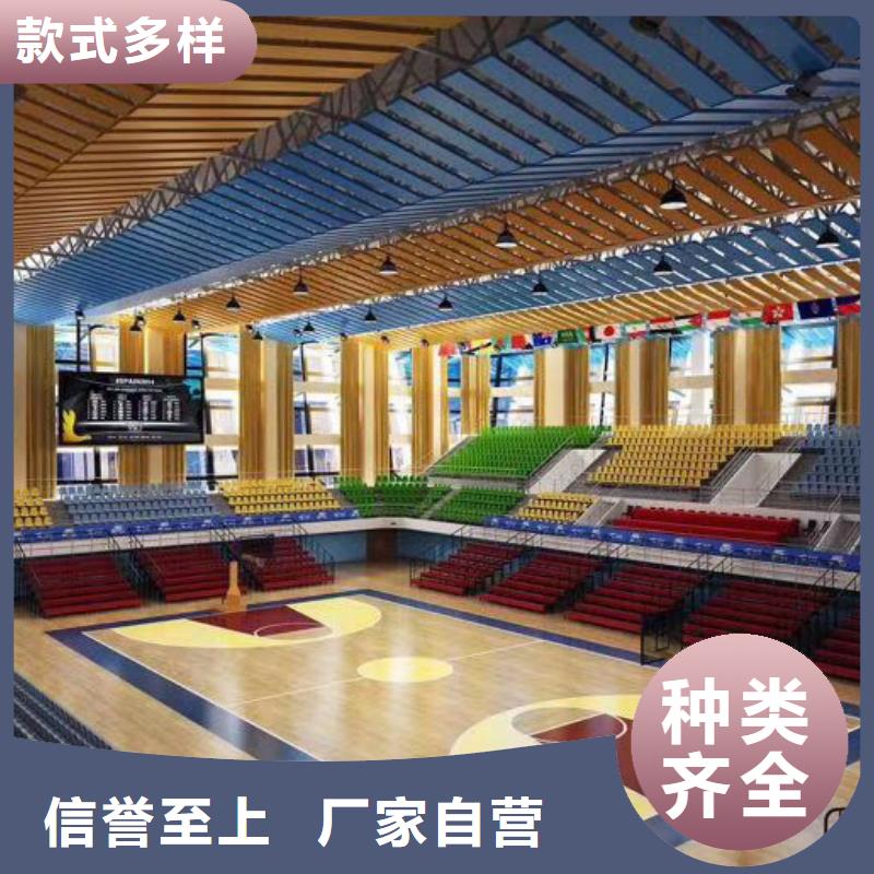 四川省专业信赖厂家凯音县比赛体育馆声学改造方案--2024最近方案/价格