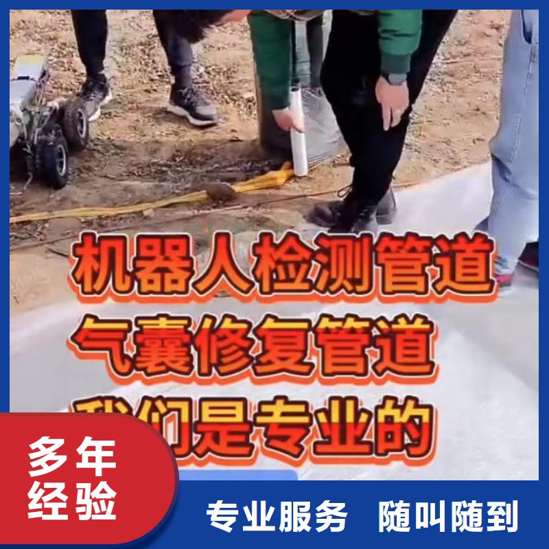 政管网封堵水气囊