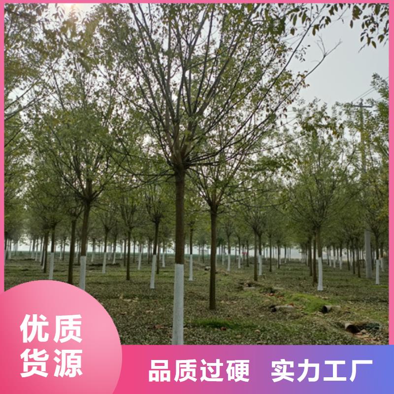 法桐一站式采购方便省心