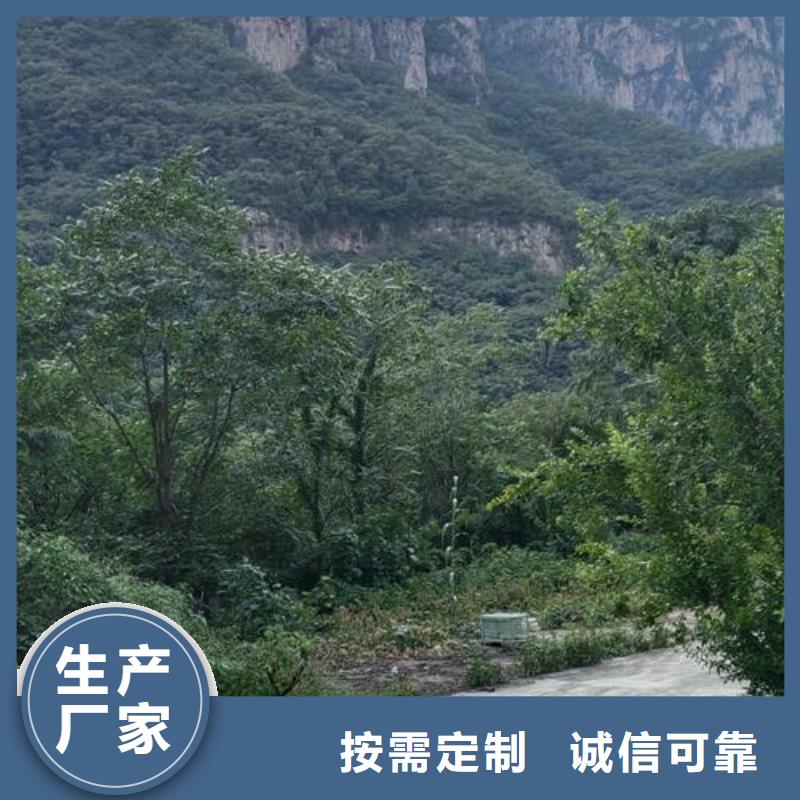 湖南混凝土输送泵厂家