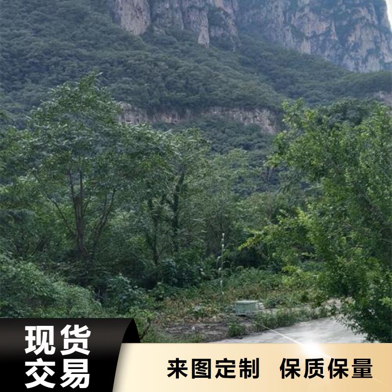 混凝土输送泵规格型号和价格