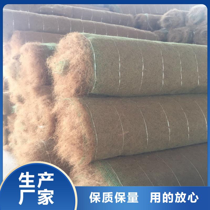 椰丝植生毯-环保植草毯-椰丝护坡毯