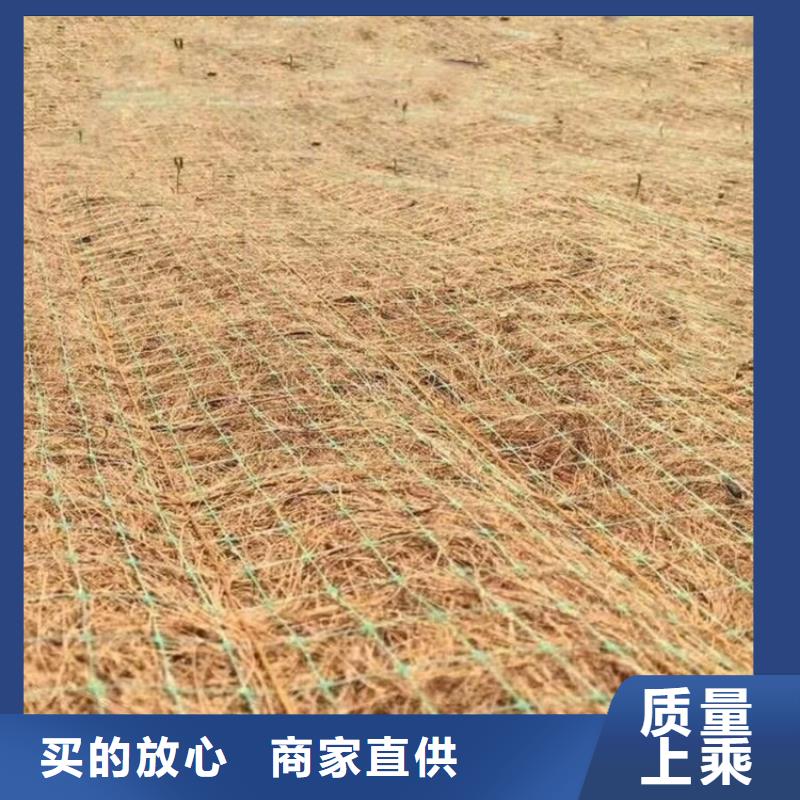 植物生态防护毯加筋抗冲生物毯出厂价格