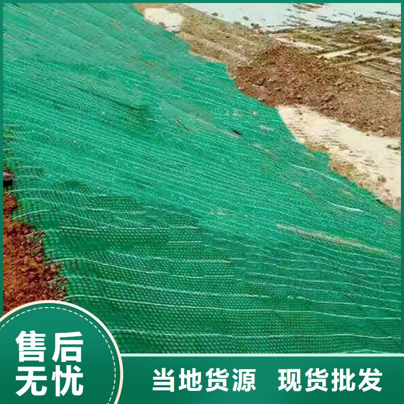 加筋抗冲生物毯-椰丝护坡毯-矿山植生毯