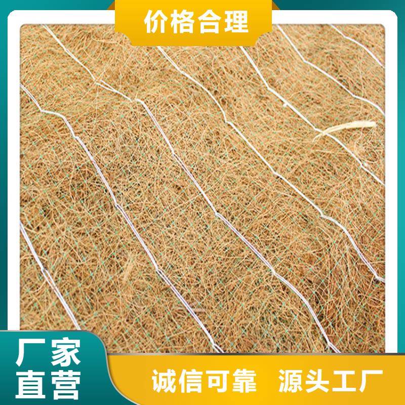 抗冲生物毯-加筋复合生态草毯-加筋环保草毯