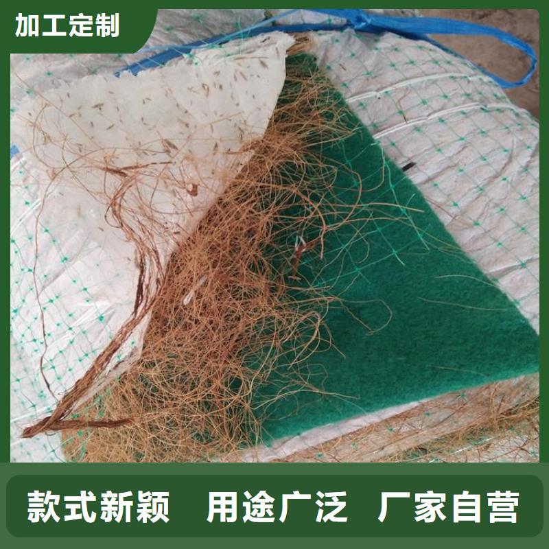 抗冲生物毯-水保加筋植生毯-植物纤维草毯