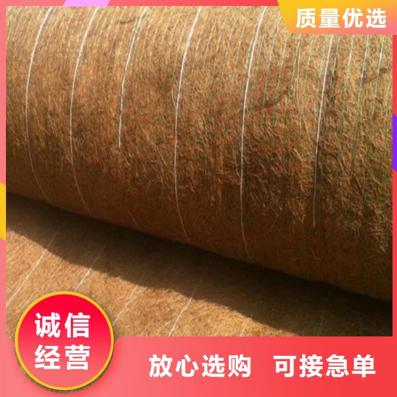椰丝植生毯-椰丝纤维毯-边坡植物纤维毯