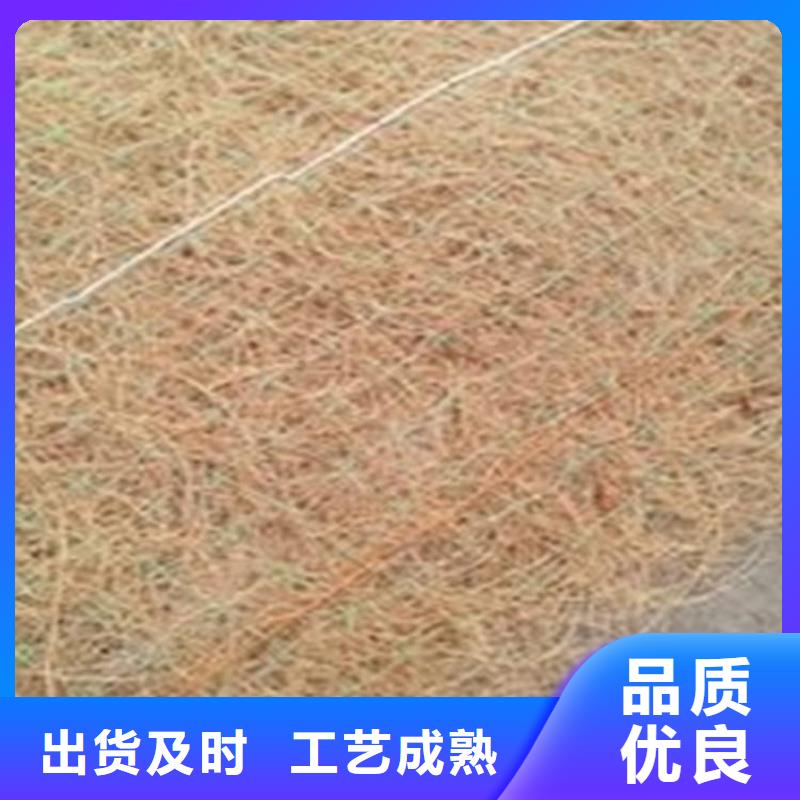 椰丝毯-护坡草毯-水保植生毯