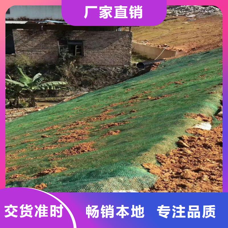 椰纤植生毯加筋抗冲生态毯经销/多少钱一平