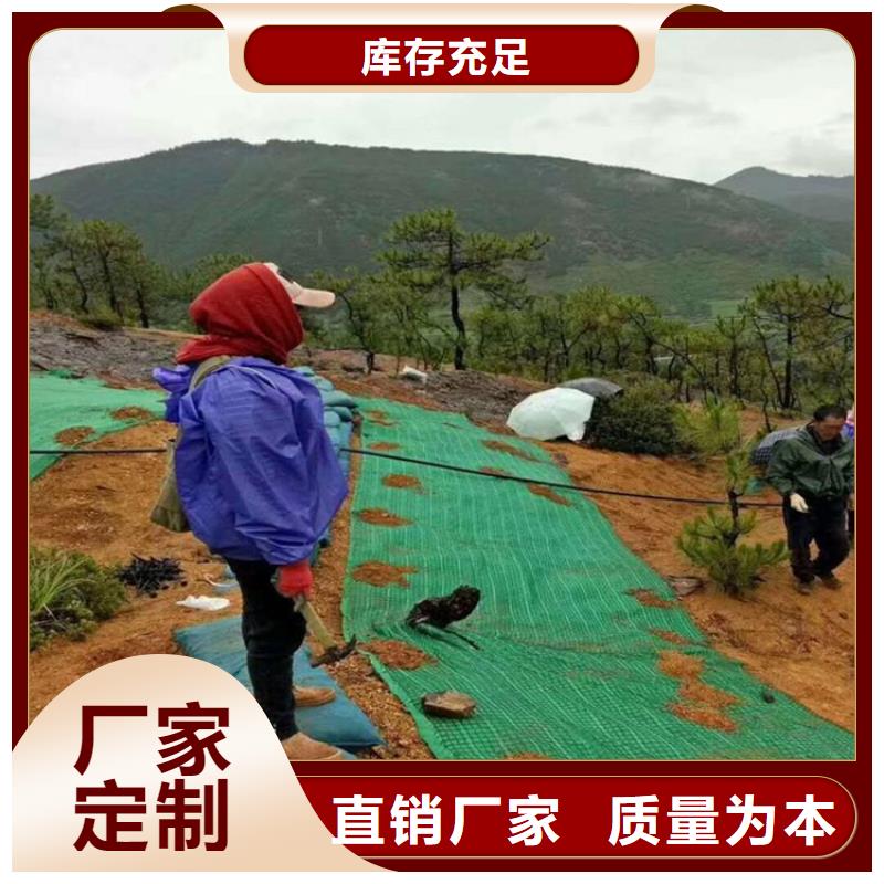 椰纤植生毯加筋抗冲生物毯