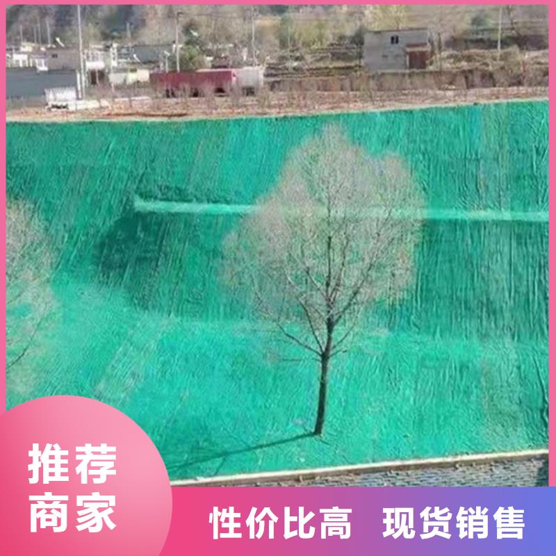 加筋抗冲生物毯