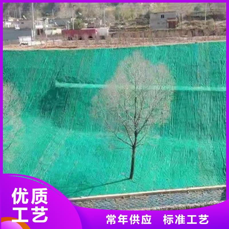 抗冲生物毯-河道护坡椰丝毯-抗冲植生毯