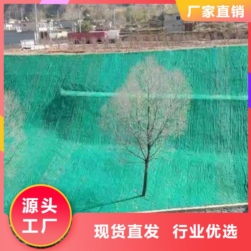 植生椰丝毯加筋抗冲生物毯批发市场