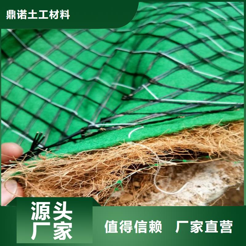 椰纤植生毯-抗冲加筋生态毯