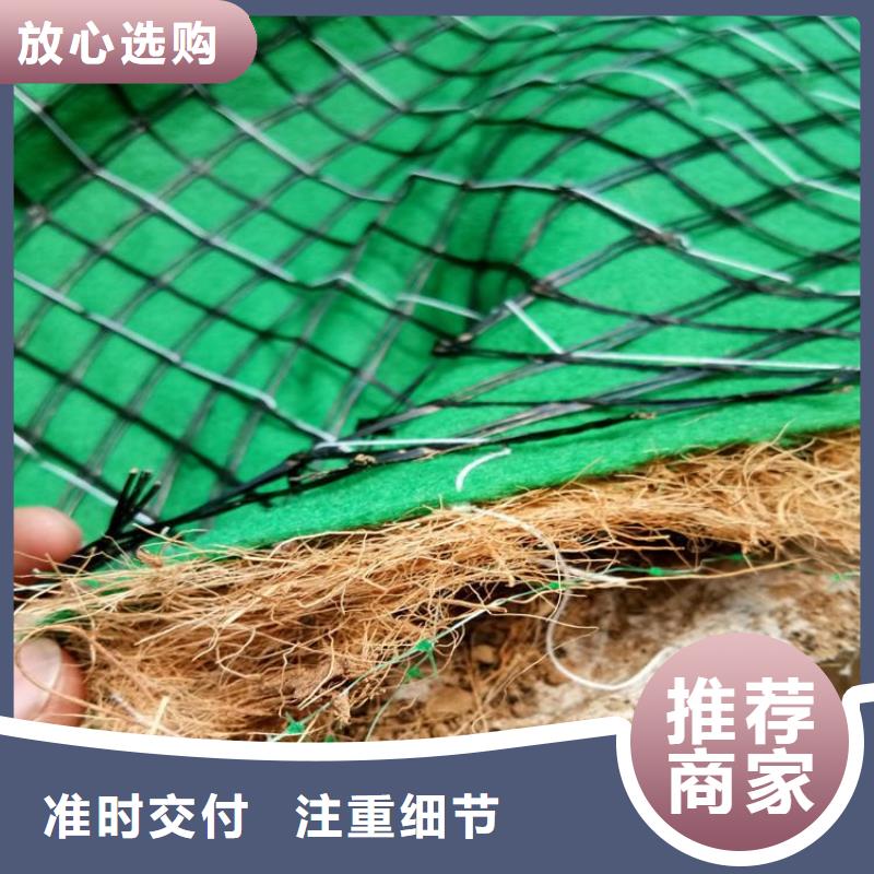 护坡植被植草毯-椰纤植生毯本地经销