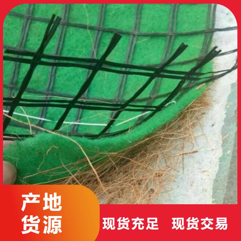 植物生态防护毯-椰丝纤维毯