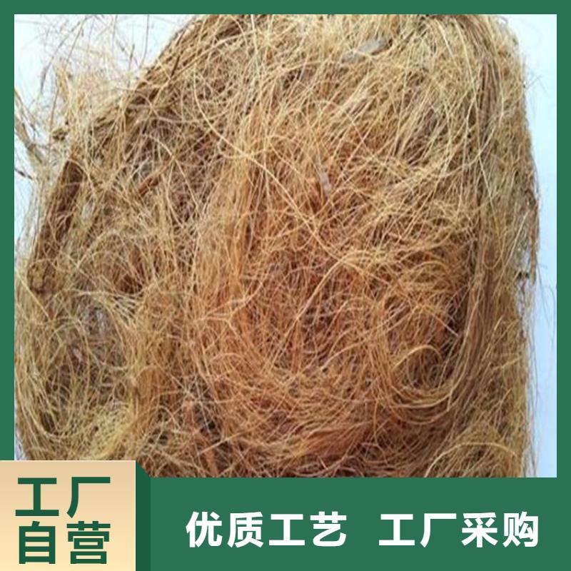 护坡植被植草毯价格实惠