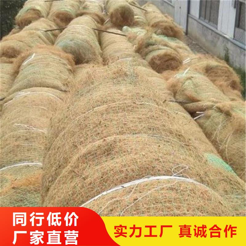 椰丝植生毯-稻草植生毯-植生草毯