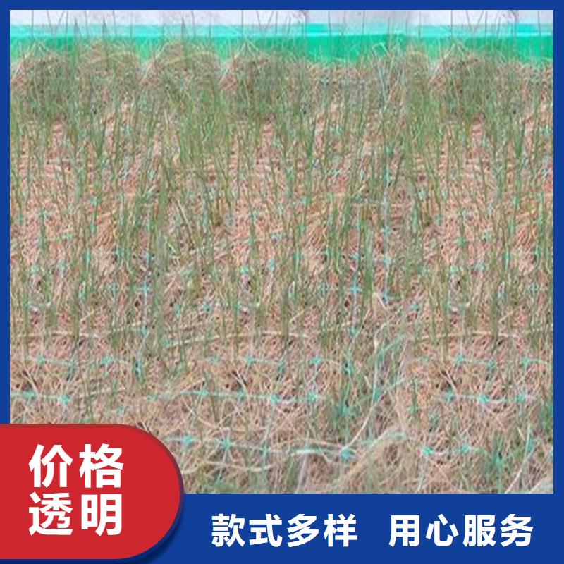 生态环保草毯-带草籽环保草毯