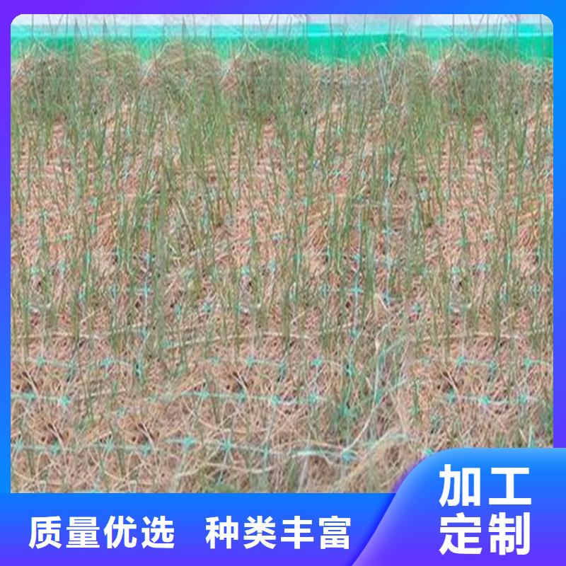 椰纤植生毯当地供应