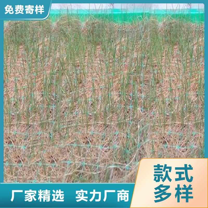 椰丝植物纤维毯-椰丝绿化保护毯-秸秆稻草毯