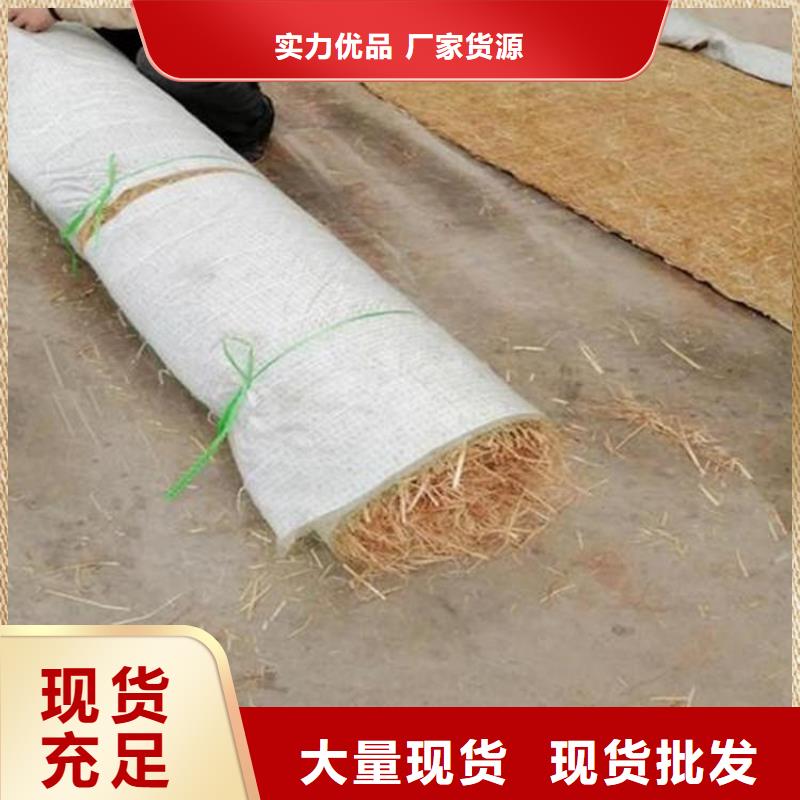 椰丝植生毯-麻椰固土毯-植生草毯