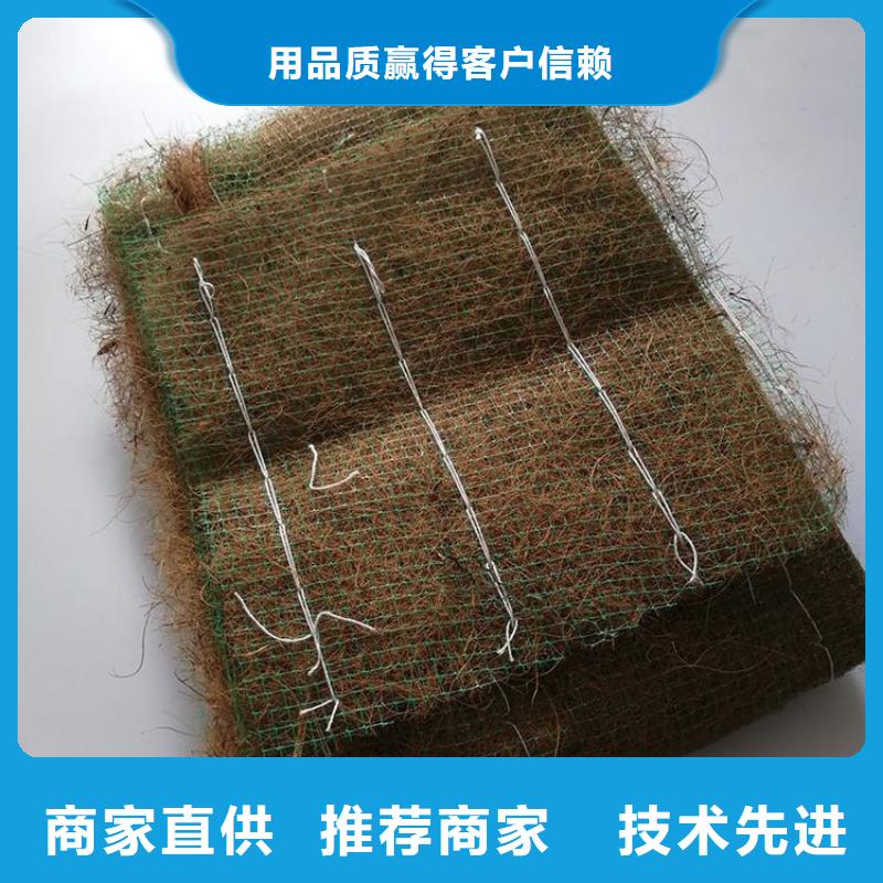 椰丝植生毯-植草纤维毯-护坡椰丝毯