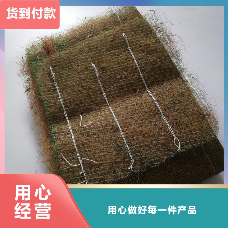 加筋植物纤维毯-护坡绿化植草毯-绿化植被垫