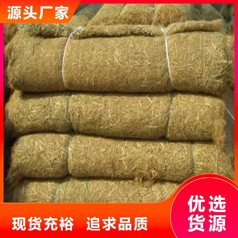 椰丝毯-植物生态毯-椰丝护坡毯