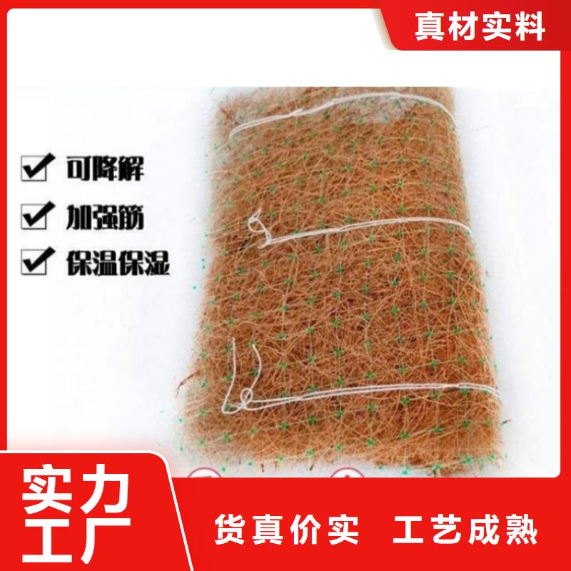 植物纤维毯-抗冲刷生物毯-椰丝植物毯
