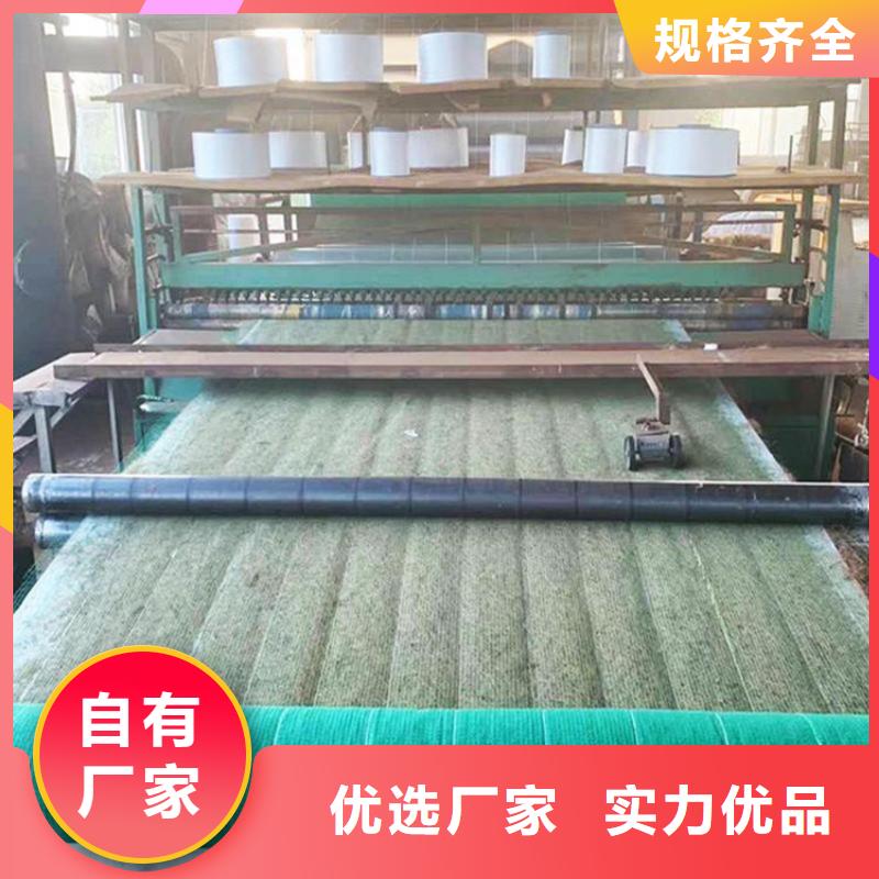 椰丝植生毯-椰丝植物毯-加筋复合抗冲生态毯