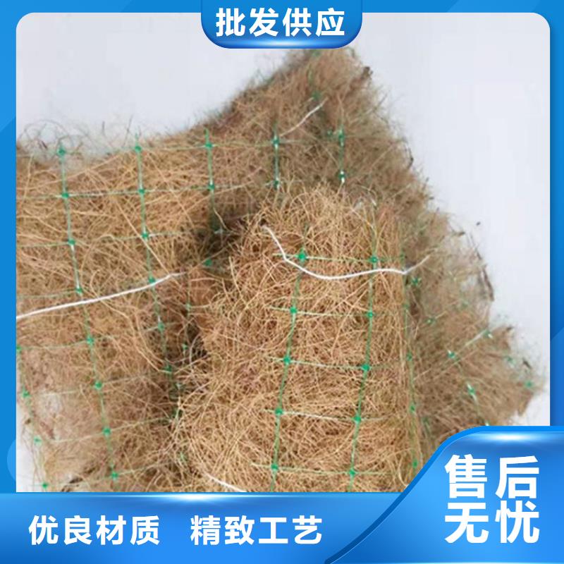 护坡植被植草毯-加筋抗冲生态毯产品新闻