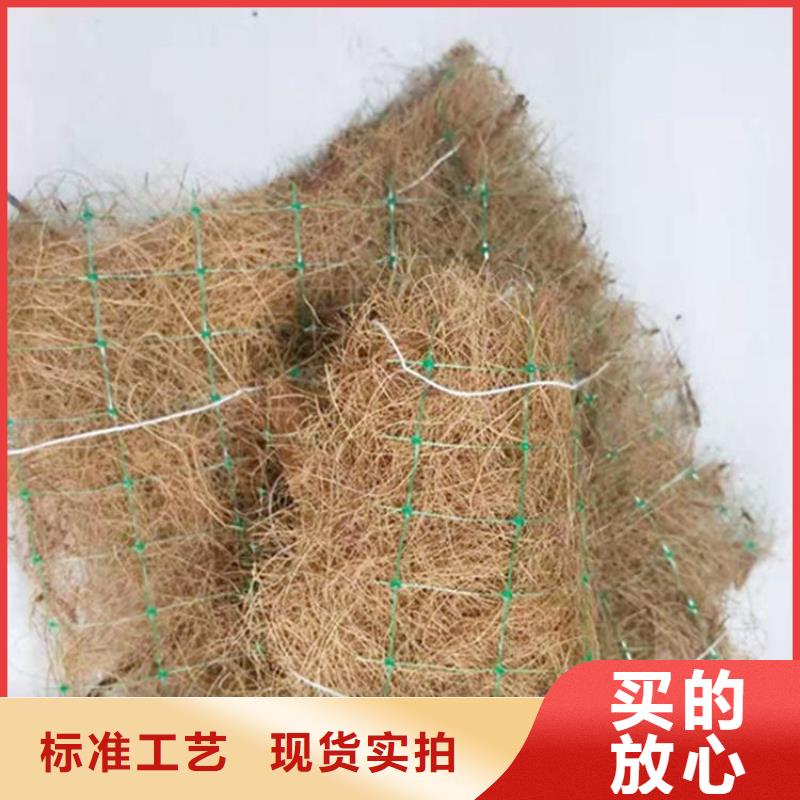 加筋抗冲生态毯施工范围