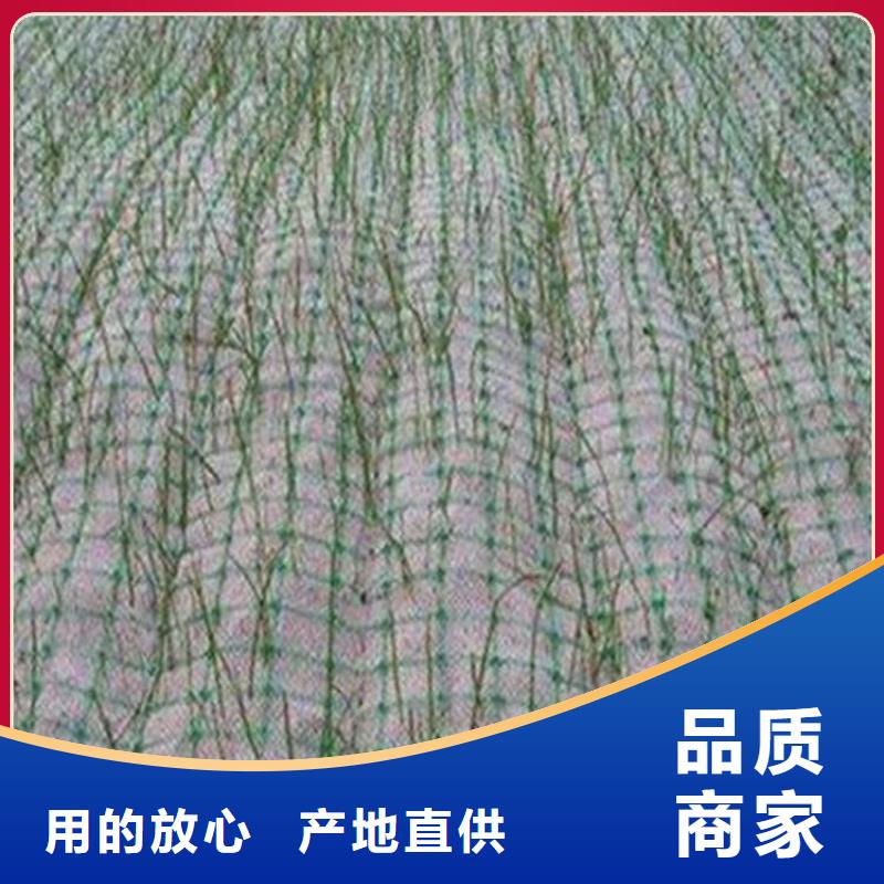 椰纤植生毯生态环保草毯