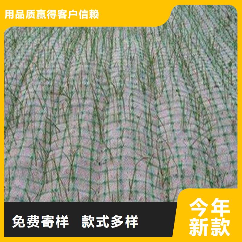 植物纤维毯-生态毯-边坡植被垫