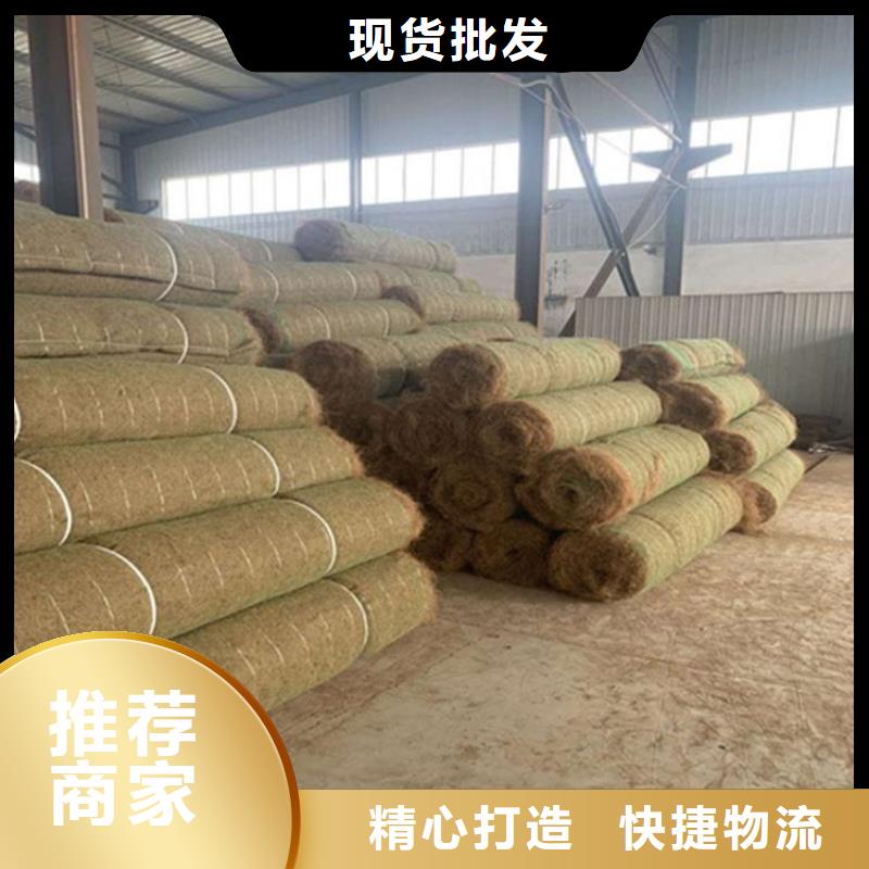 椰丝毯-荒山植生毯-加筋复合生态草毯