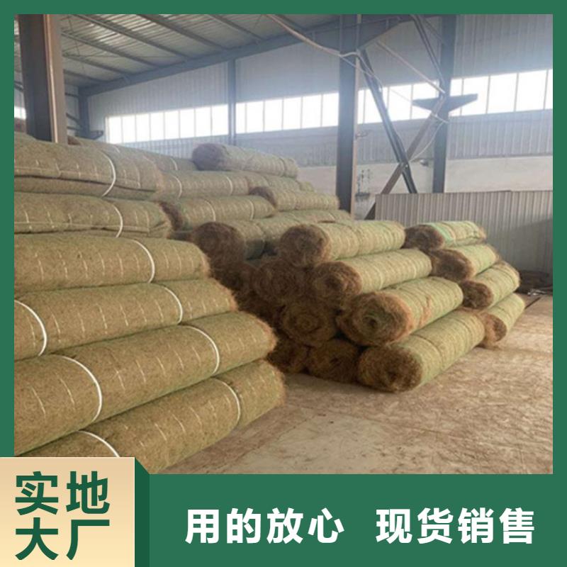 护坡植被植草毯-植生椰丝毯厂家-公司代理