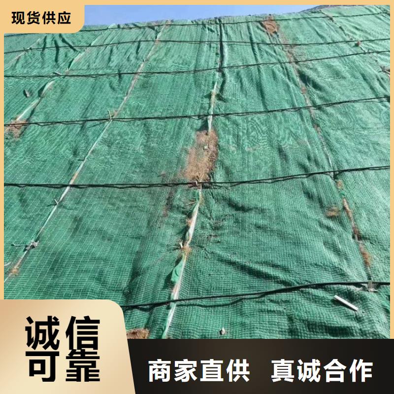 加筋抗冲生态毯价格参数