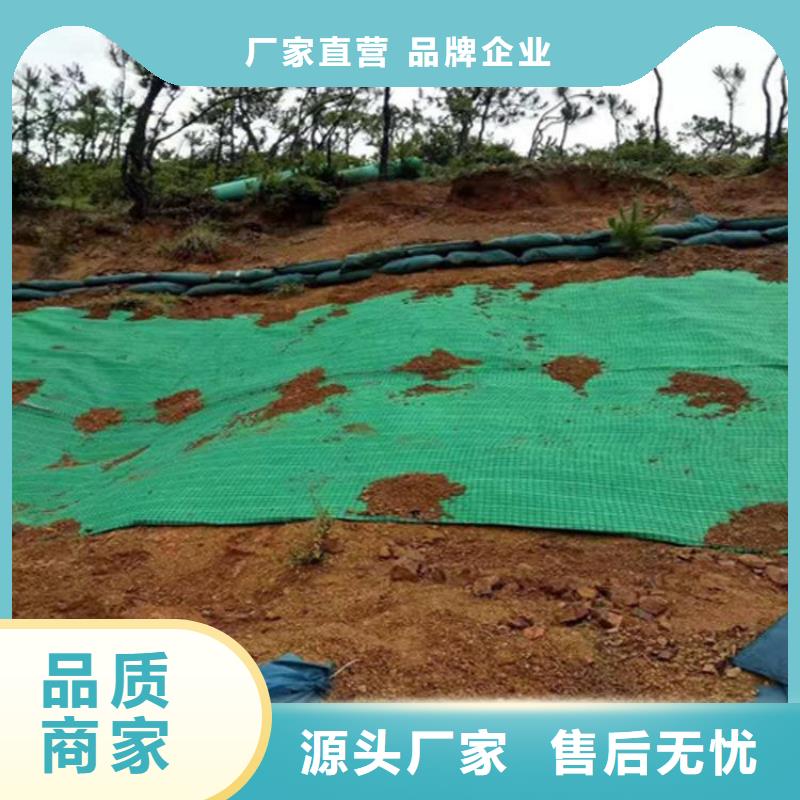 植物生态防护毯加筋抗冲生态毯厂家批发