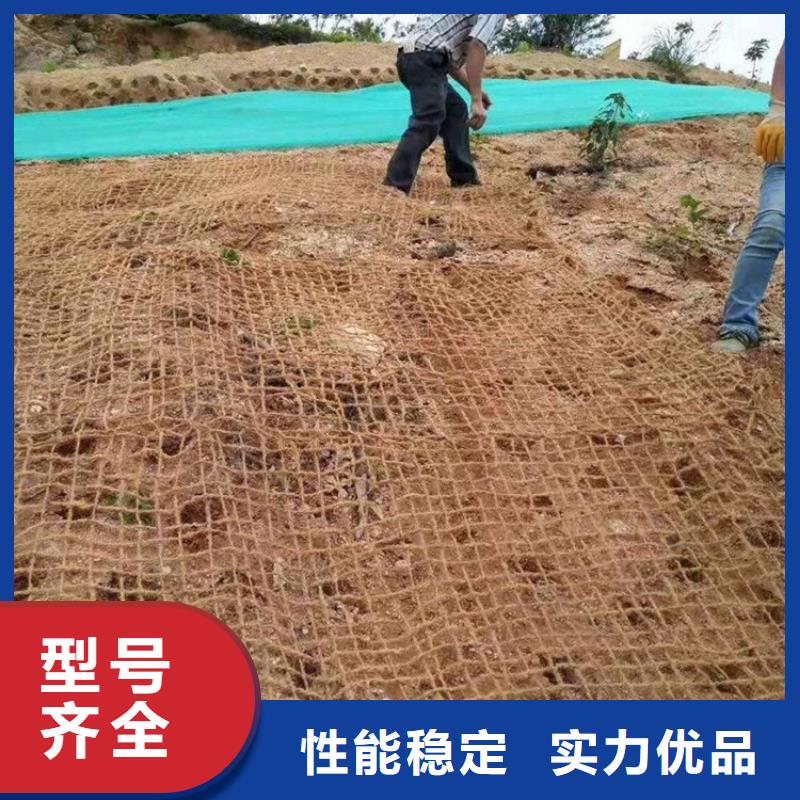 椰纤植生毯加筋抗冲生物毯施工大图