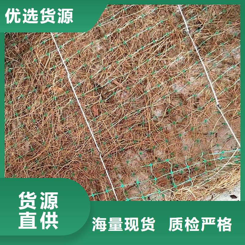 椰丝植生毯-抗冲植物毯-椰丝生态毯