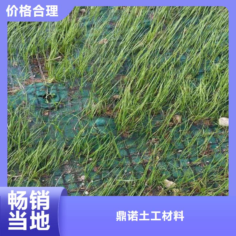 植生椰丝毯加筋抗冲生物毯