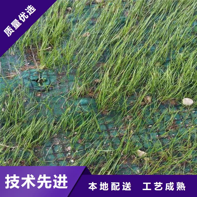 生态环保草毯加筋抗冲生物毯批发