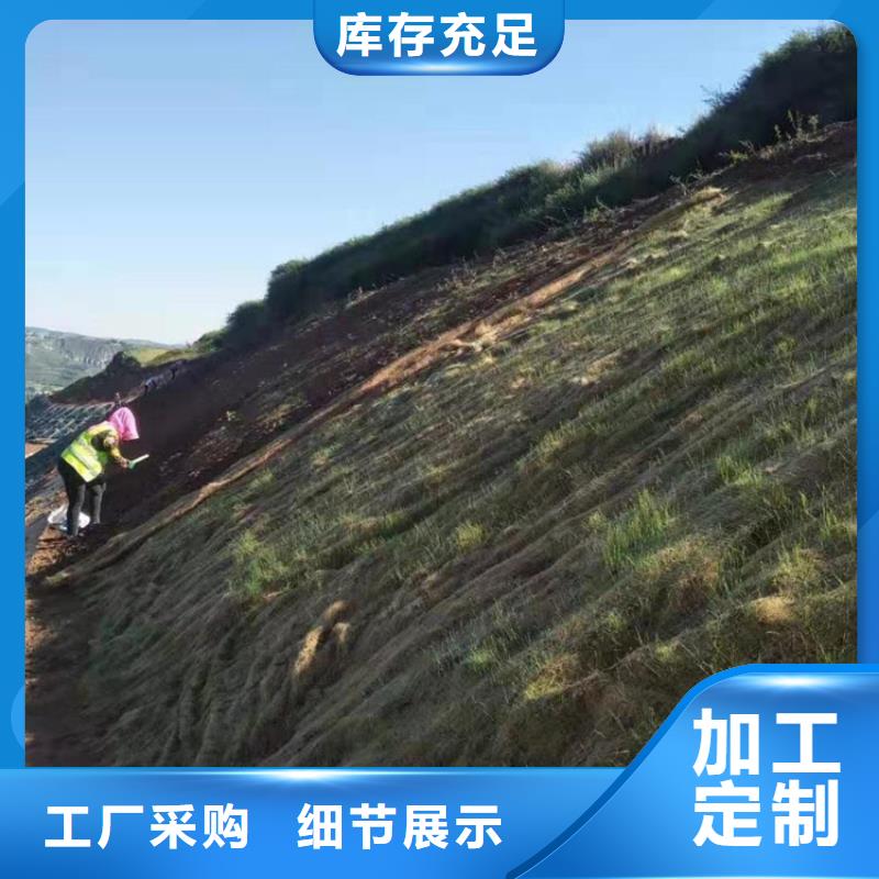 护坡植被植草毯价格实惠