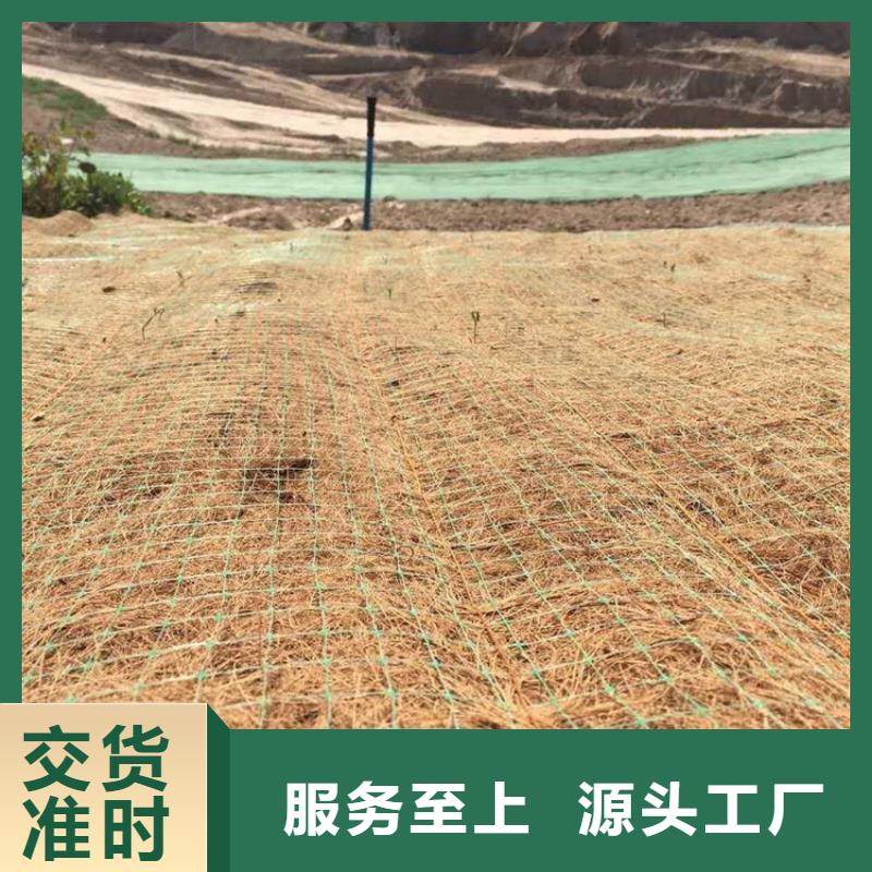 椰纤植生毯-防冲生物毯