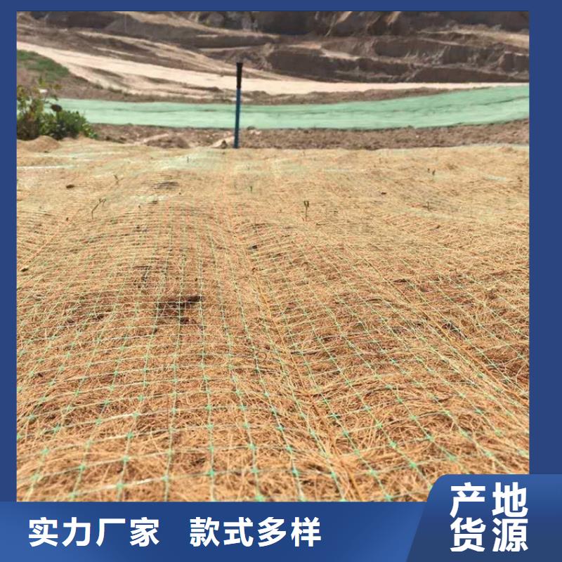 植物生态防护毯加筋抗冲生物毯生产厂家